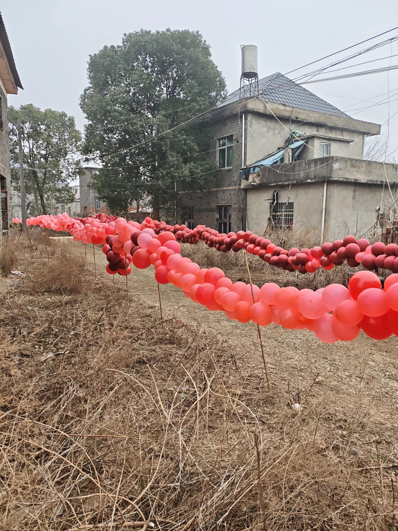 前两天回老家乡下喝了一场喜酒，是我家一个关系有点远的堂弟结婚。他爸爸我叫大伯，这