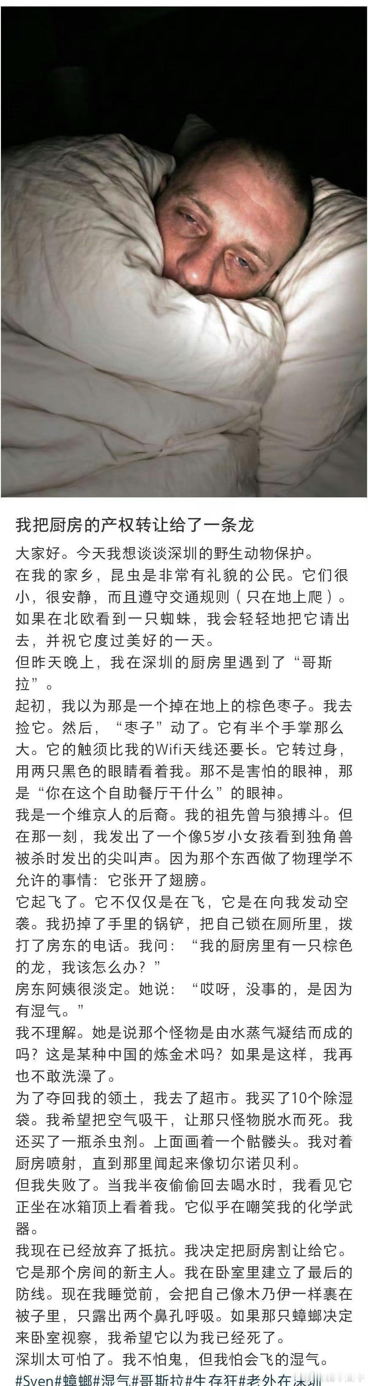 维京小伙，你这个样子怕是去不了英灵殿了……魔兽世界