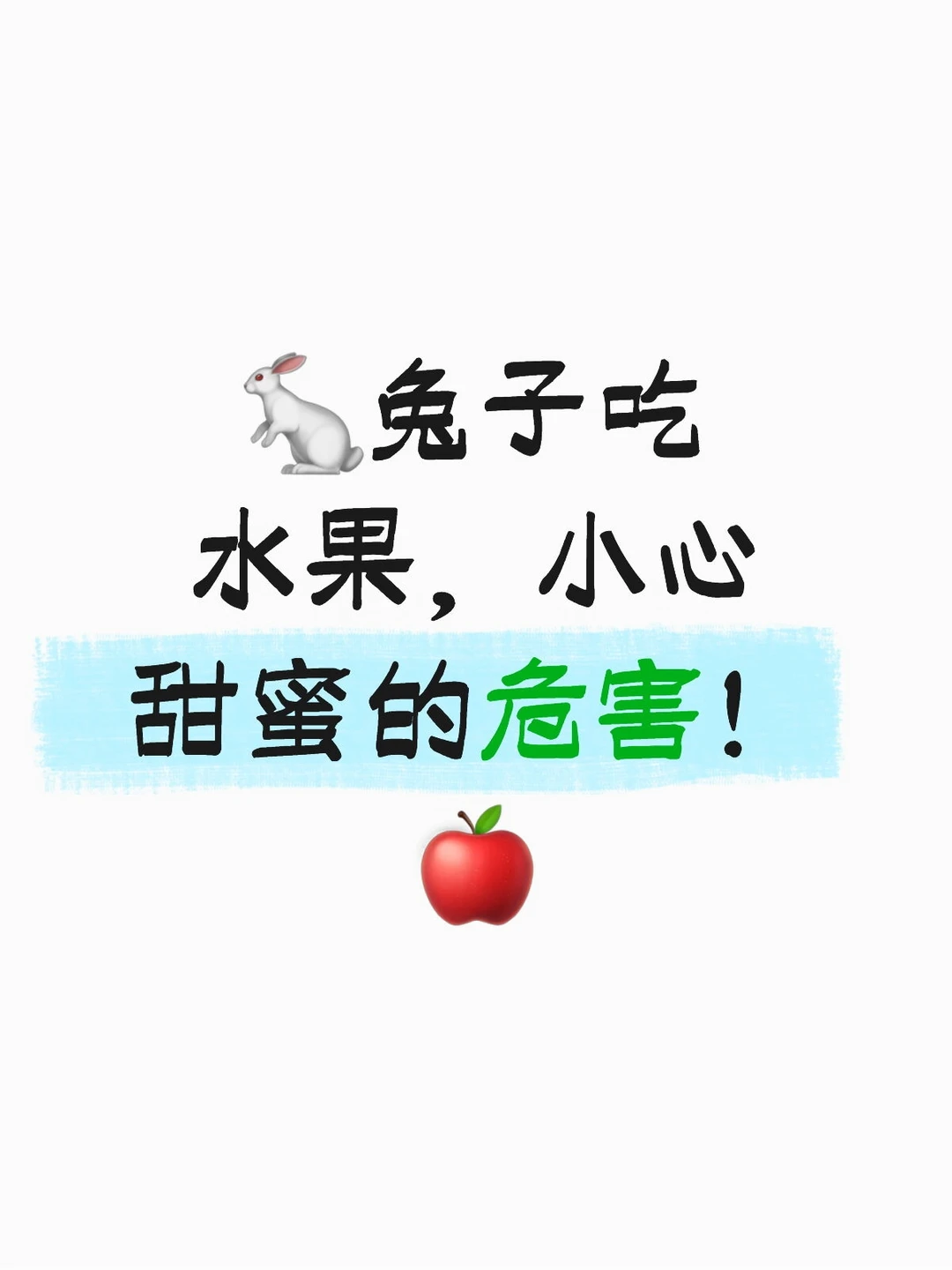 这份养兔指南，请收好！