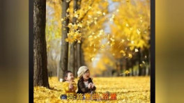 一首情歌对唱《 爱你错错错 》爱你错错错 - 路