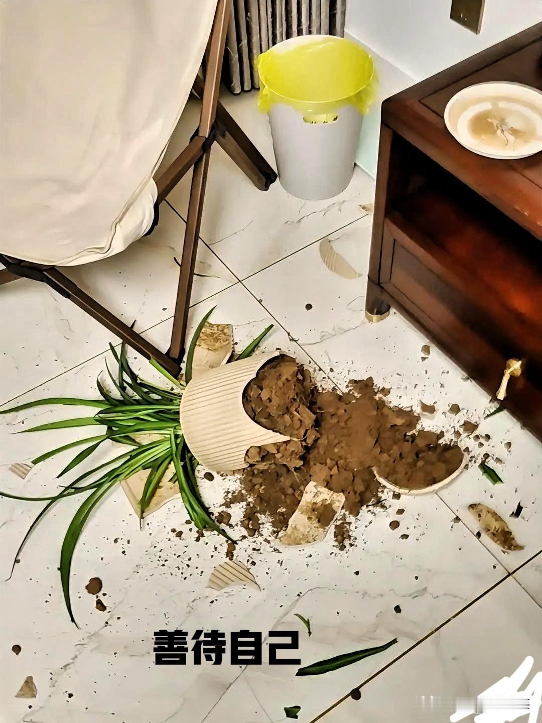 走了才明白，人这一辈子，争再多最后都是一场空我今年五十好几，一直住在农村，