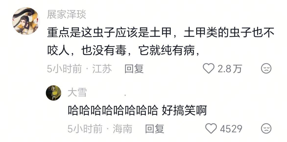 怎么能有这么🗡的虫子