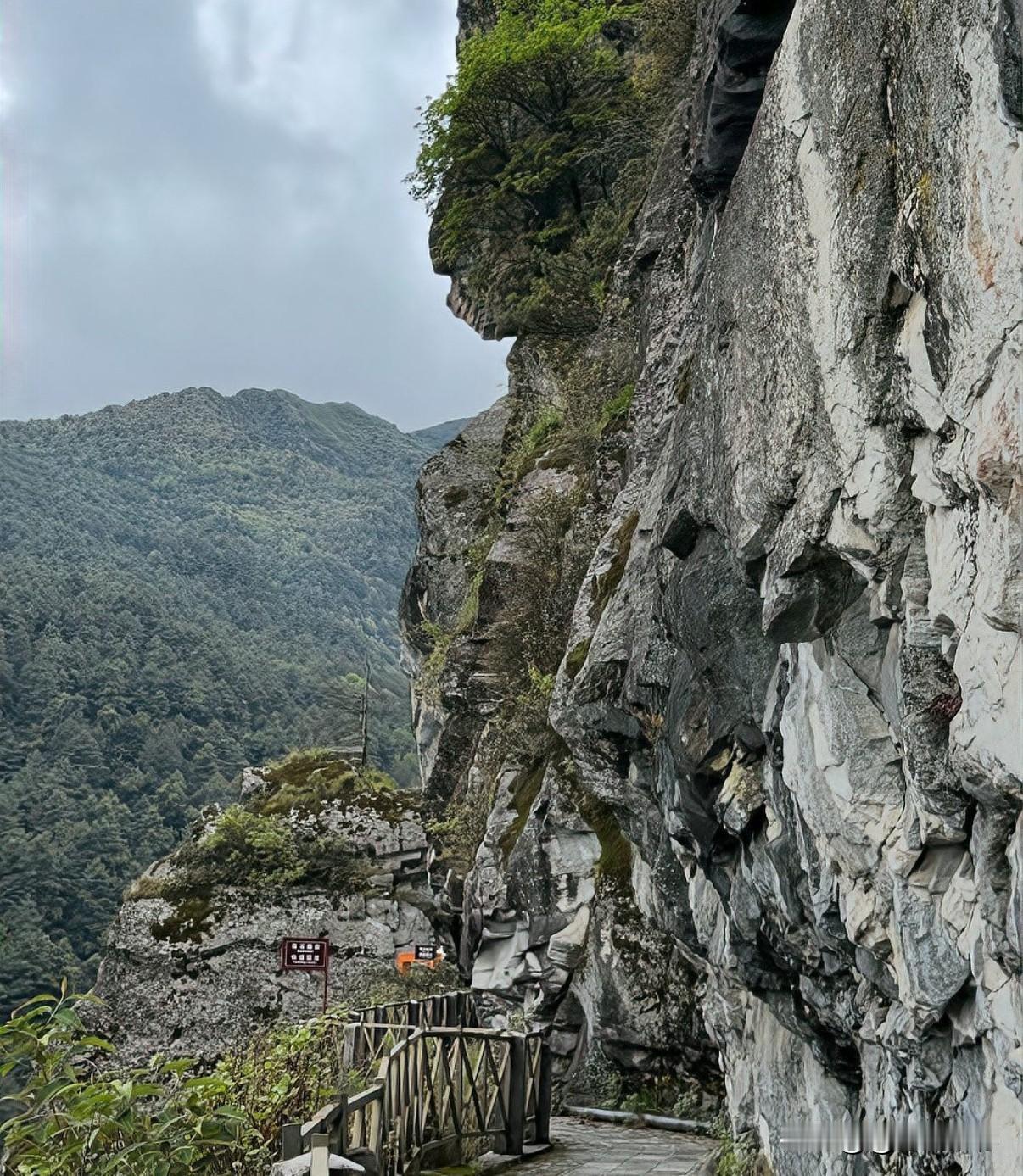 大理苍山悲剧：年轻生命凋零引发对心理健康与景区管理的关注近日，云南省大理苍山