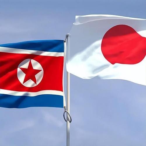 你以为日本怕朝鲜，怕的是那几枚导弹？我告诉你，事情没那么简单。日本真正睡不好觉的