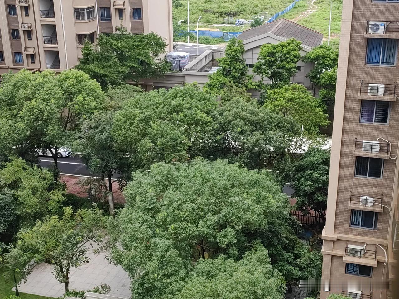 周五，雷州停课，上午，风平浪静！难怪有网友总结：在狂风暴雨中上课，在风平浪静中