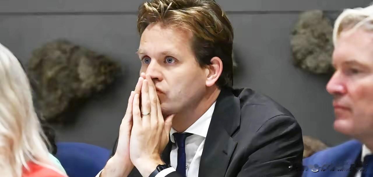 12月17日，中方终于出手了，荷兰没收中企股份尝到后果！当天中方正式发布对原产