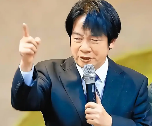 赖清德就任一年表现“最突出”的地方是什么？6万多人网络民调出炉海峡导报综合报道