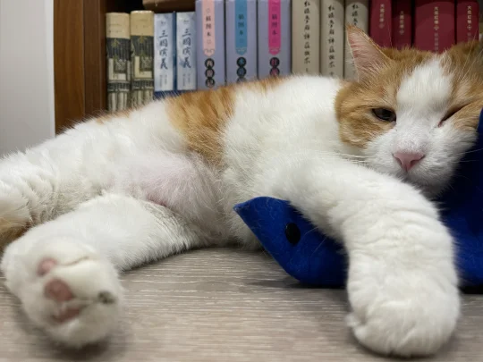 等客人来等得昏古七了