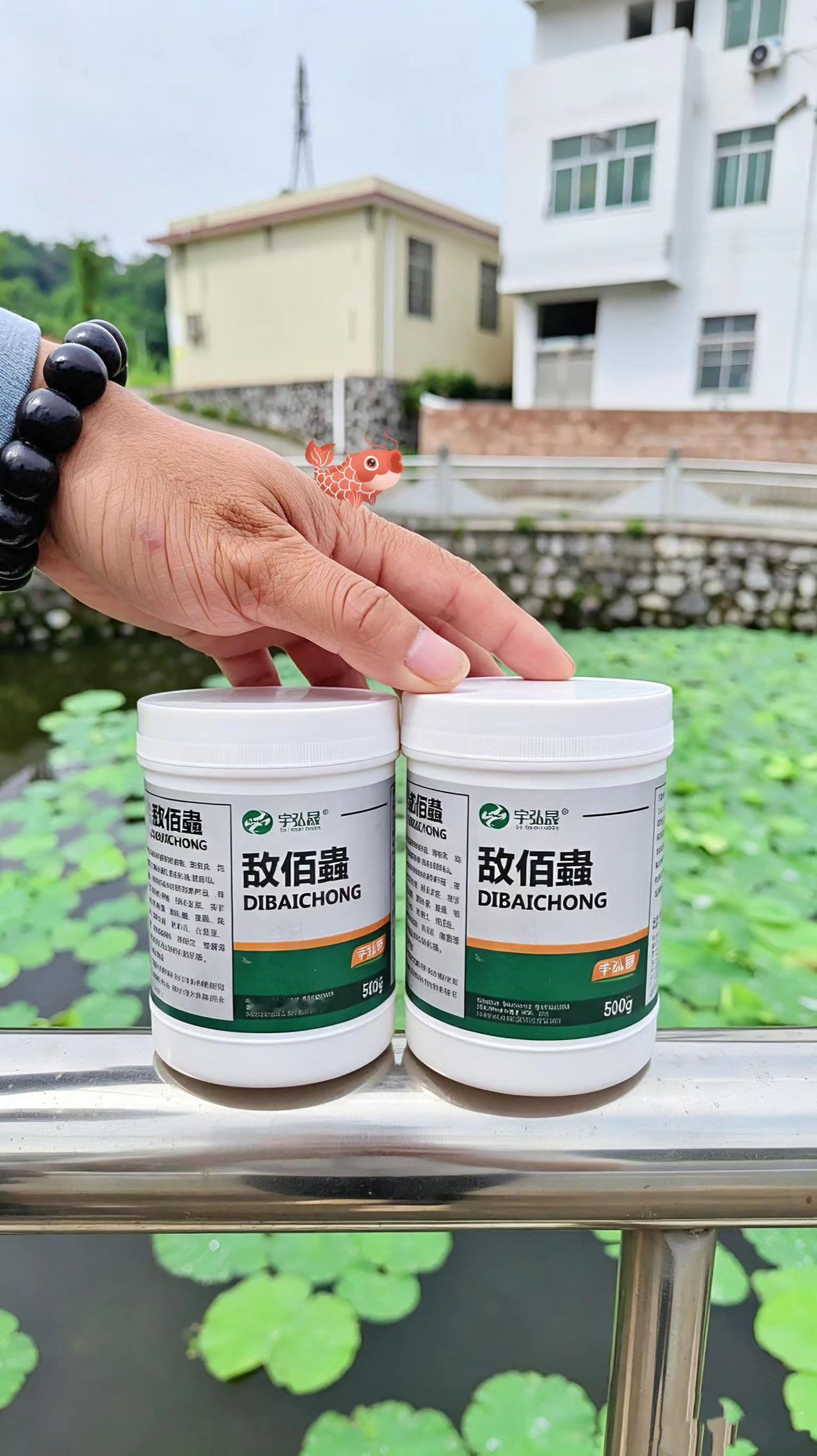 敌佰蟲鱼塘养殖鲢鱼鲤鱼草鱼