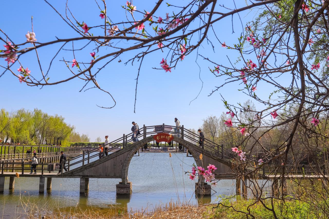 电视真的会被淘汰吗?应该不会，毕竟电视机是一个很好的工具，只用被人利益化的失去了