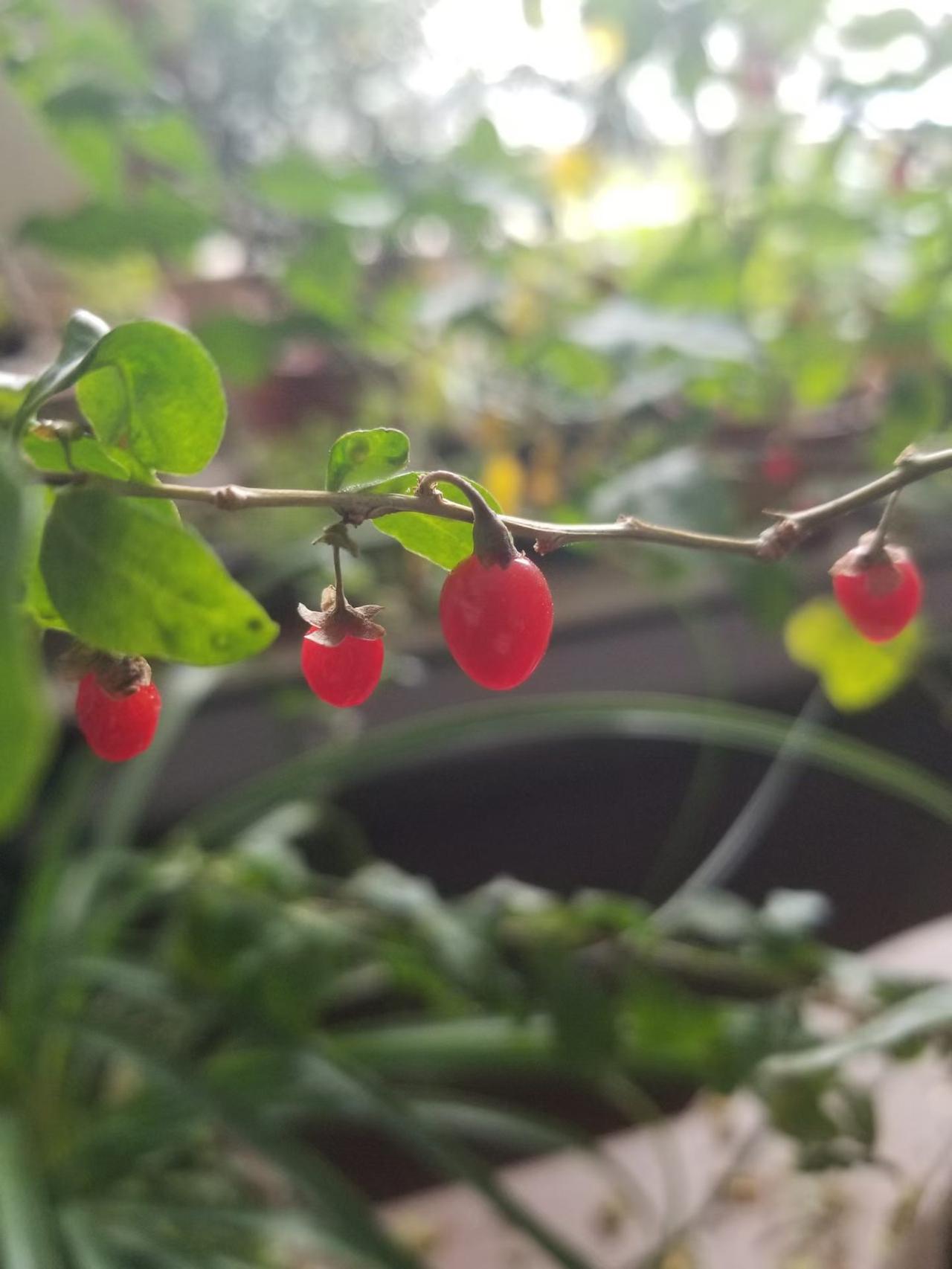 老伴退休后，用自己的两个土办法把日子过得舒坦自在。老伴去年退休后，我担心他不