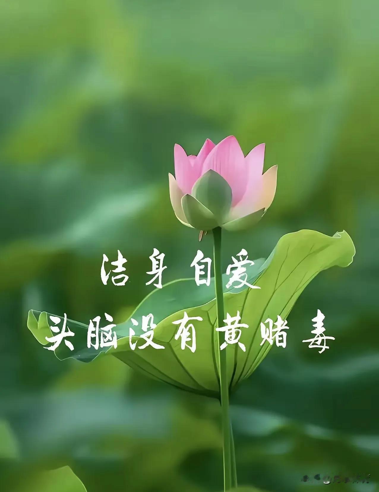 凌晨三点，你又一次在黑暗中发誓，这是最后一次。手指划过屏幕，欲望像藤蔓缠住大脑