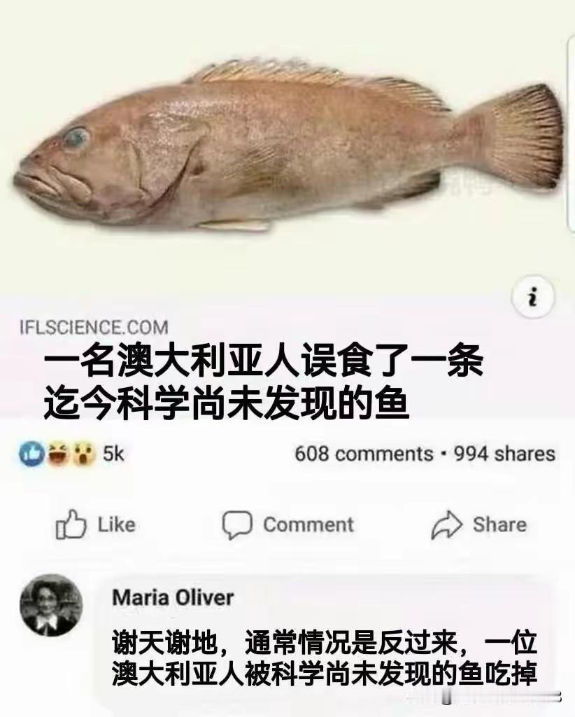 确实，一般上新闻的都是人被吃了[捂脸哭]