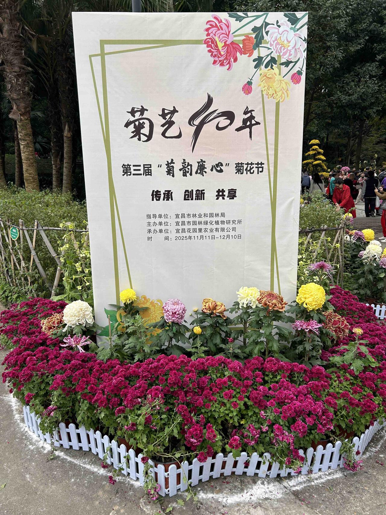 谁说赏菊只是老年人的专利？今天冲了宜昌绿萝植物园的菊花展，才发现秋日浪漫早就