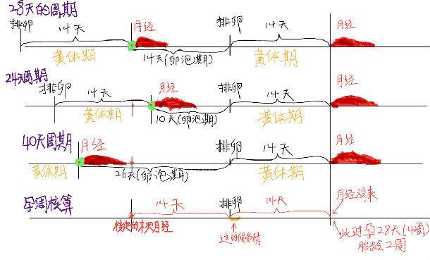 怀孕初期, 你不知道的事情, 准爸准妈必读哟?