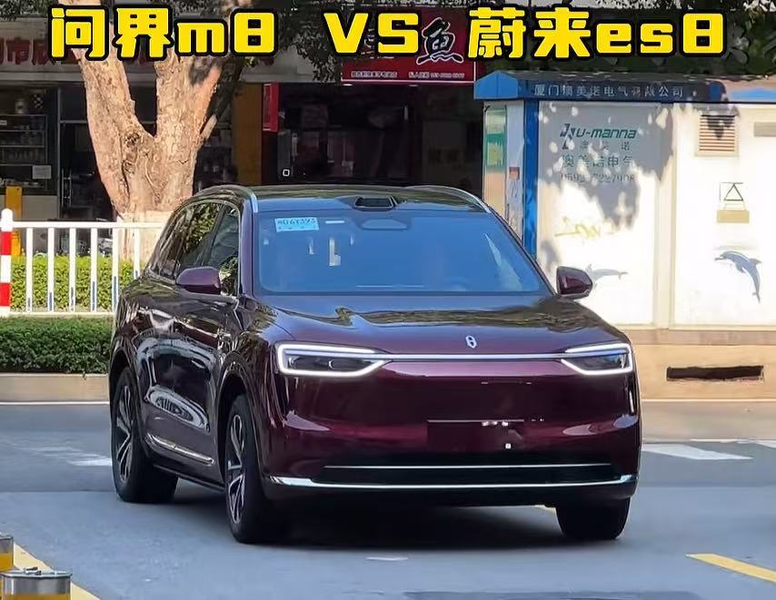 直播间被问了无数遍，“M8和es8怎么选”。我的回答，“M8是好车，后座啥的都挺