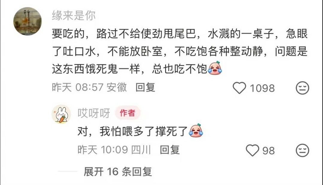 金鱼其实挺吵的