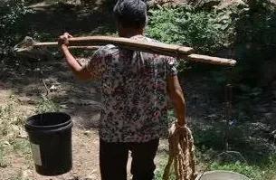 我家花园边上放一个大水桶，可以盛300斤水，我用来晒水。就是把自来水放置三天，太