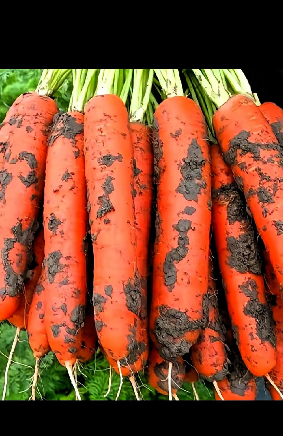 这世道，防得住明枪，防不住这包装精美的暗箭！还有什么让人放心吃的？​湖北天门那