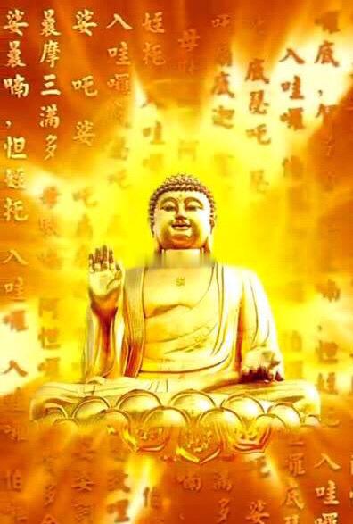 睡前不忘顶礼三拜佛菩萨，昼夜吉祥，明天一觉醒来定有一个美好的缘起🙏