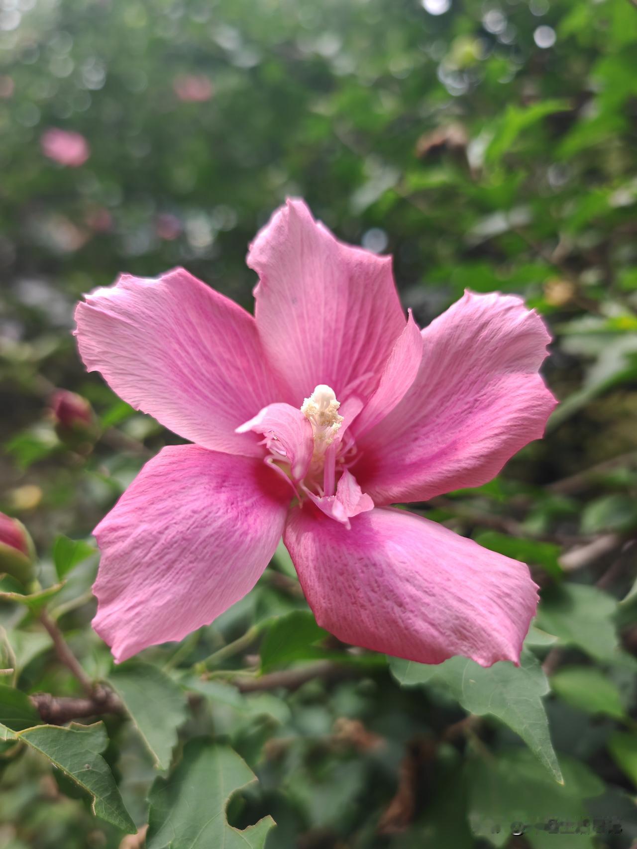 我觉得都重要婆婆85岁，6月底在上海肿瘤医院做大手术，半个多月花了五万多块钱，