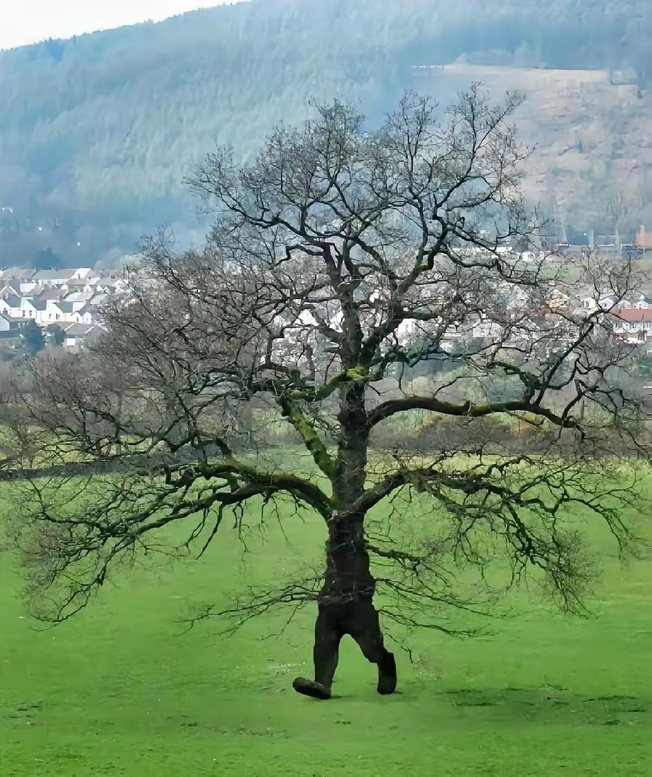 有一位社会学家说：“婚前，大部分女孩子生活的真实状况是，在城市的某个角落住着出租