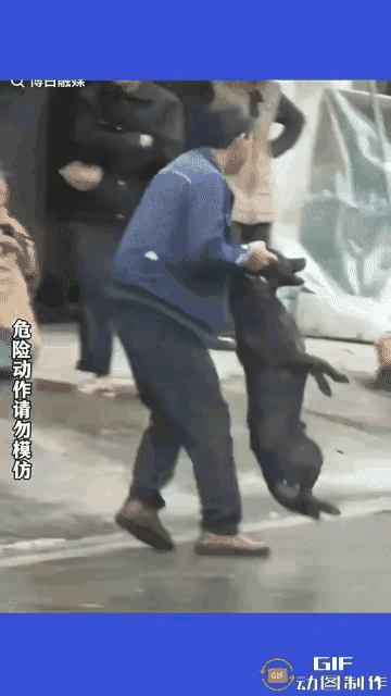 家人们谁懂啊！大哥正好好走着路，冷不丁被条没牵绳的黑狗扑上来咬一口，换谁能不气？