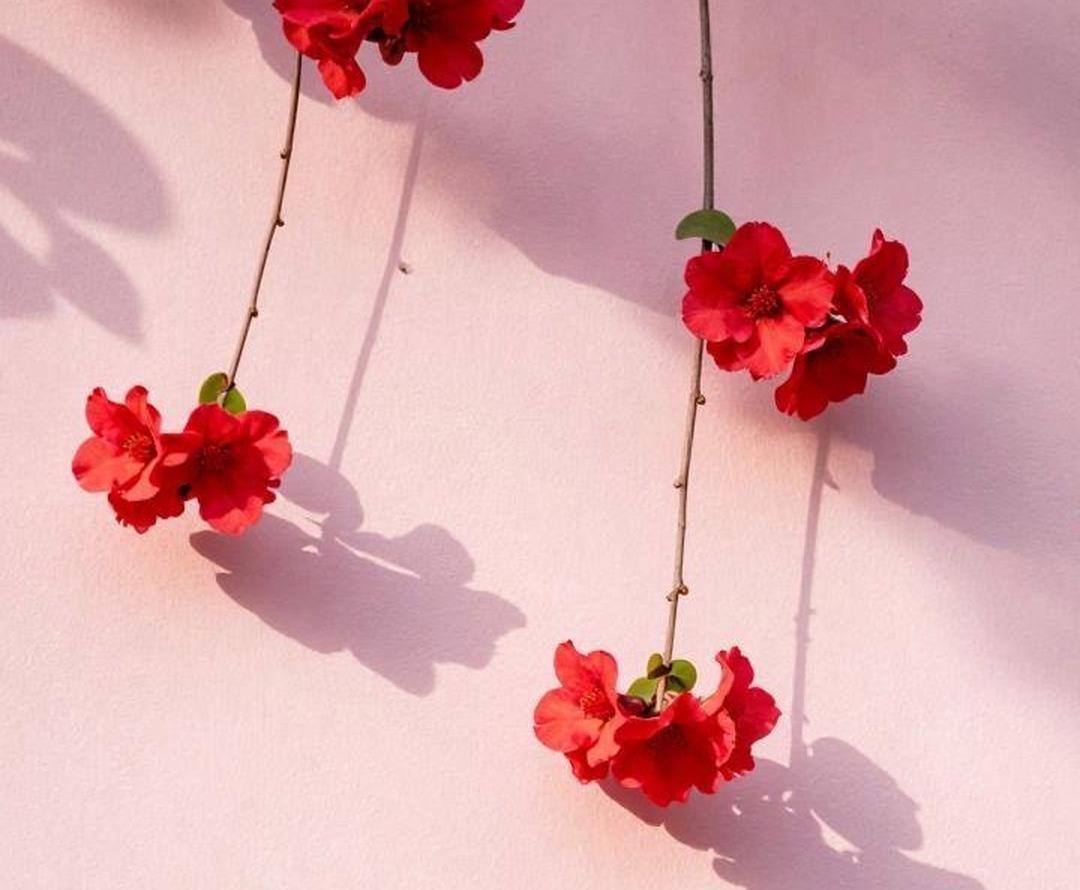 只要有人去干预干扰，搞坏你心态的人，都叫坏人，任何情况，任何理由，任何