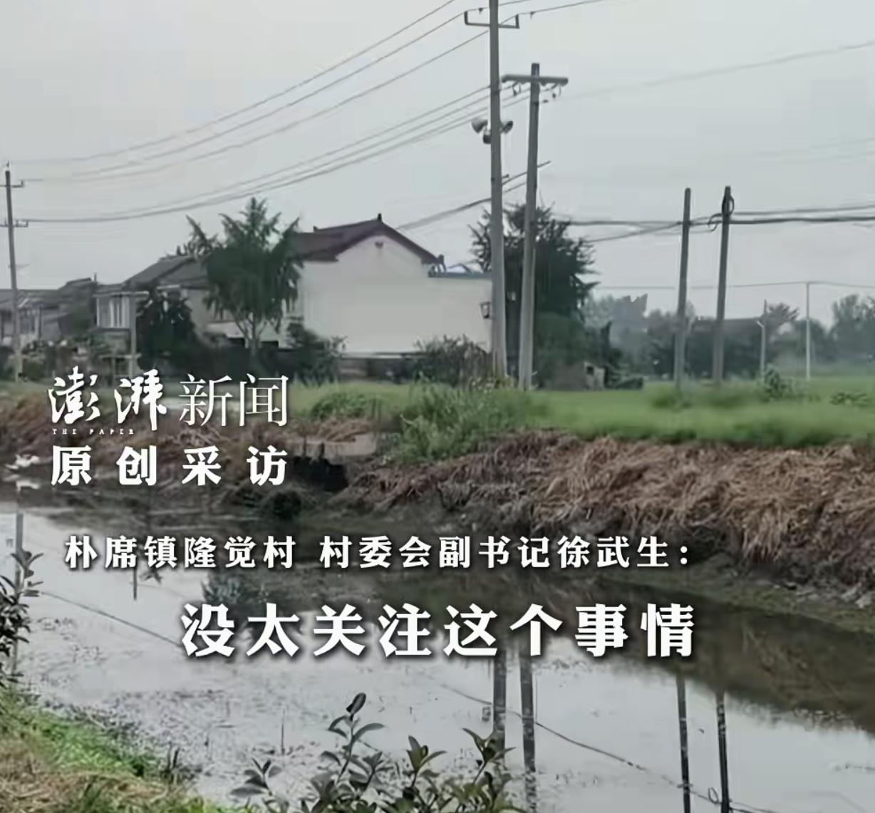 “肥水不流外人田？”江苏扬州，一男子是村干部，他开绿化工程公司，2年拿下本村14