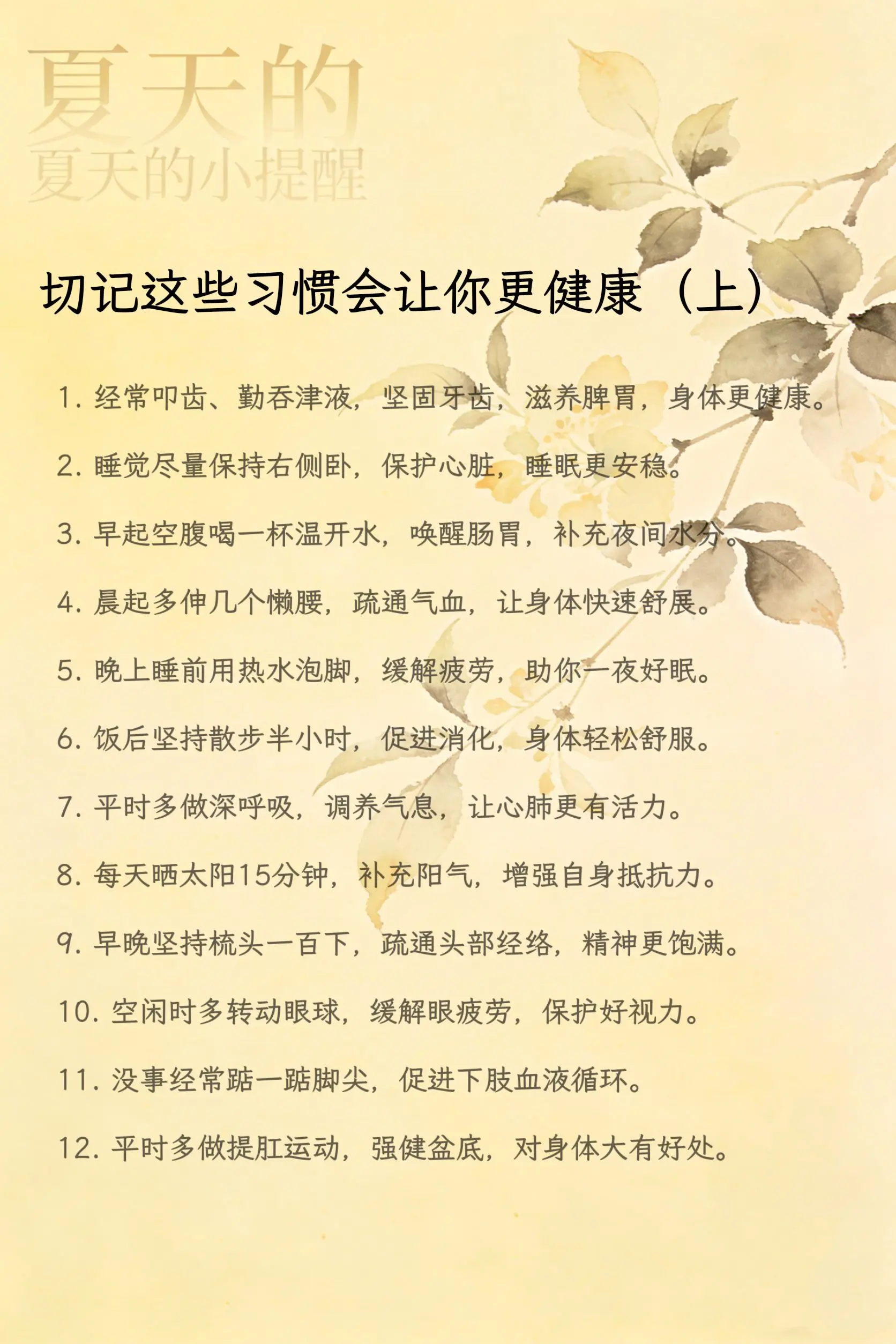 养生分享 养生就是养健康