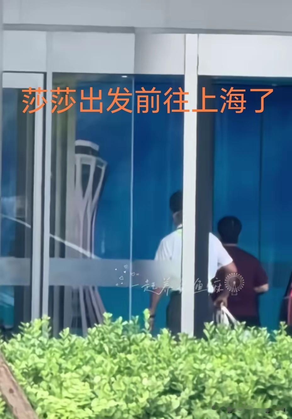 终于看到莎莎和头哥出发前往上海封训了！看到两人都是走机场VIP通道。球迷拍到