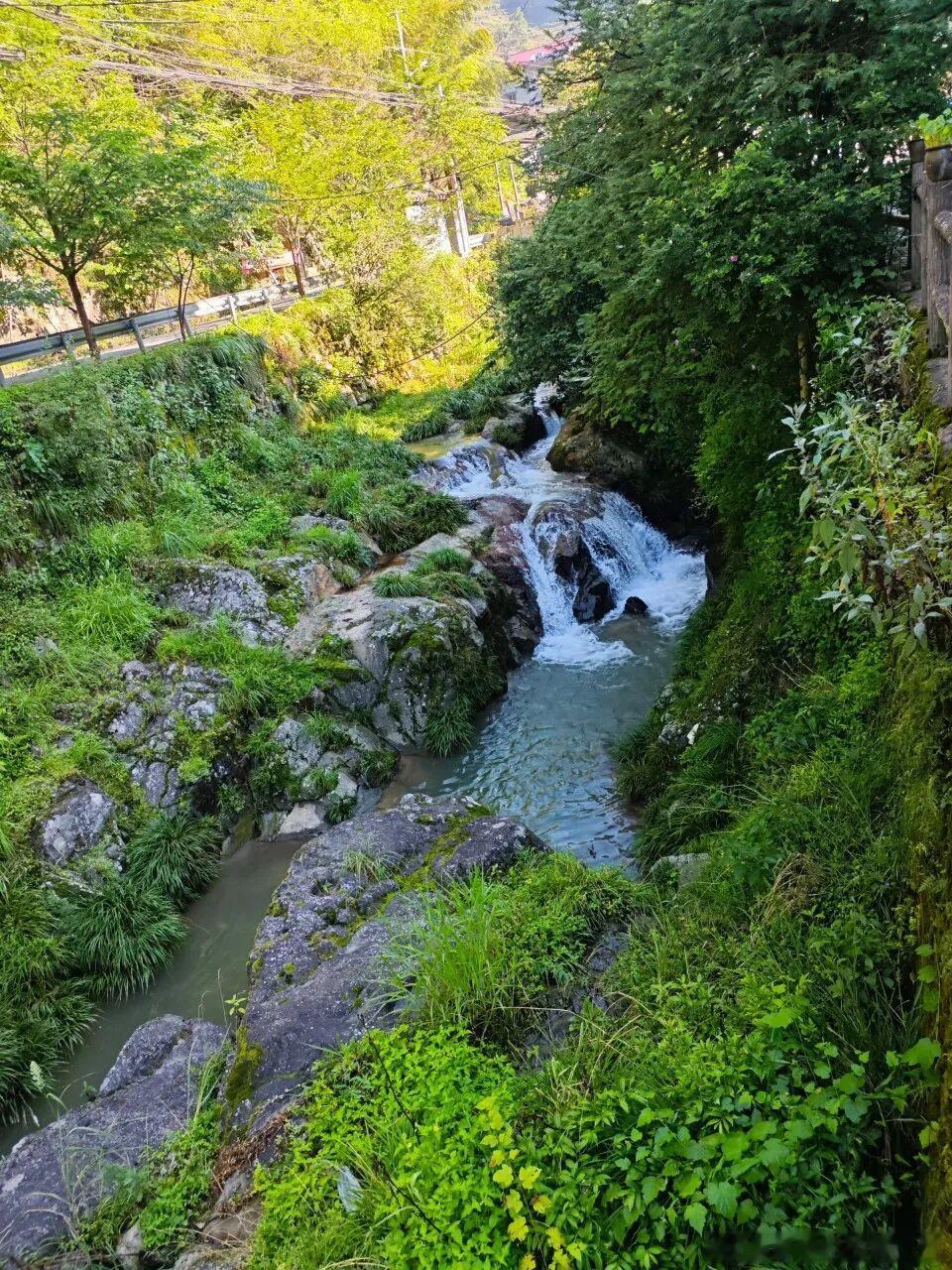 近千米高山上的黄家畲村，是本地人私藏的清凉秘境。密林环绕、溪流潺潺，踩着鹅卵石溯