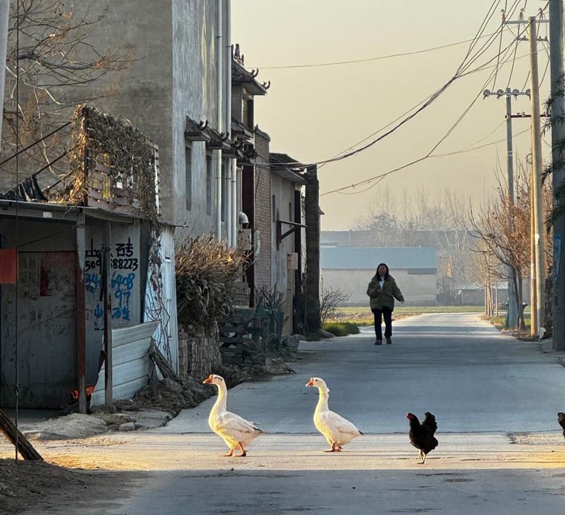 太可怕了，再过10年，农村很多的村庄将变成无人村，不敢想象回老家看看，心里咯