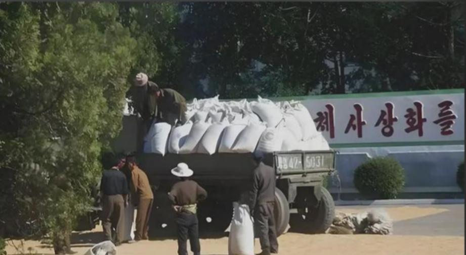 朝鲜人平时很少吃猪油，并不是因为他们不喜欢，而是对大多数普通人来说，肉类是一种昂