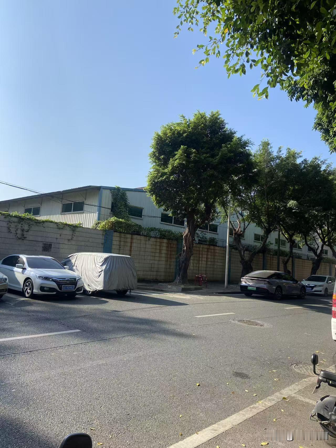 我表舅在泰柬边境做水果生意，前阵子冲突一爆发，口岸关了，满车芒果烂在半路，愁得睡