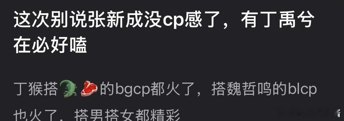 南部档案张新成、丁禹兮二人你会嗑到吗