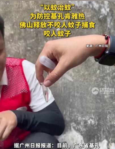 “彻底解释不清了！”广东佛山，为防控基孔肯雅热，中山大学教授竟然主动释放蚊子，称