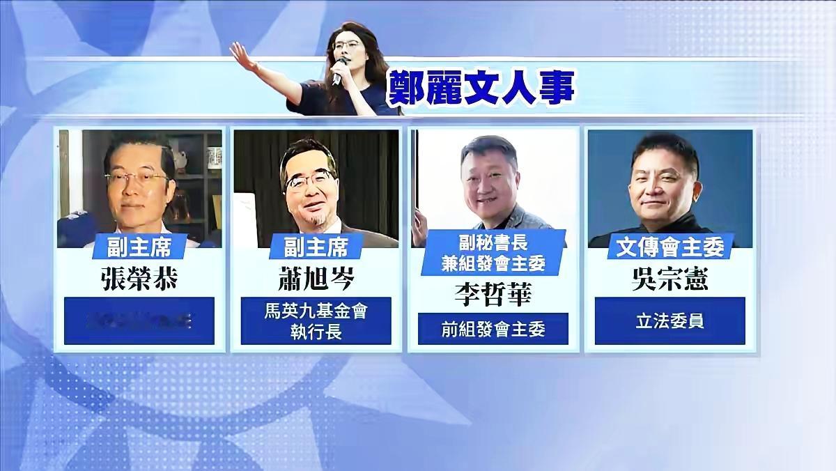 郑丽文抛出比自己当选党主席更震撼的震撼弹,赖清德们和赵少康们傻眼!刚当选国