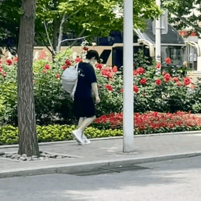不奇怪大迪去西藏旅游，也不奇怪曼昱外出放松散心，但奇怪是莎莎为何出现在体育总