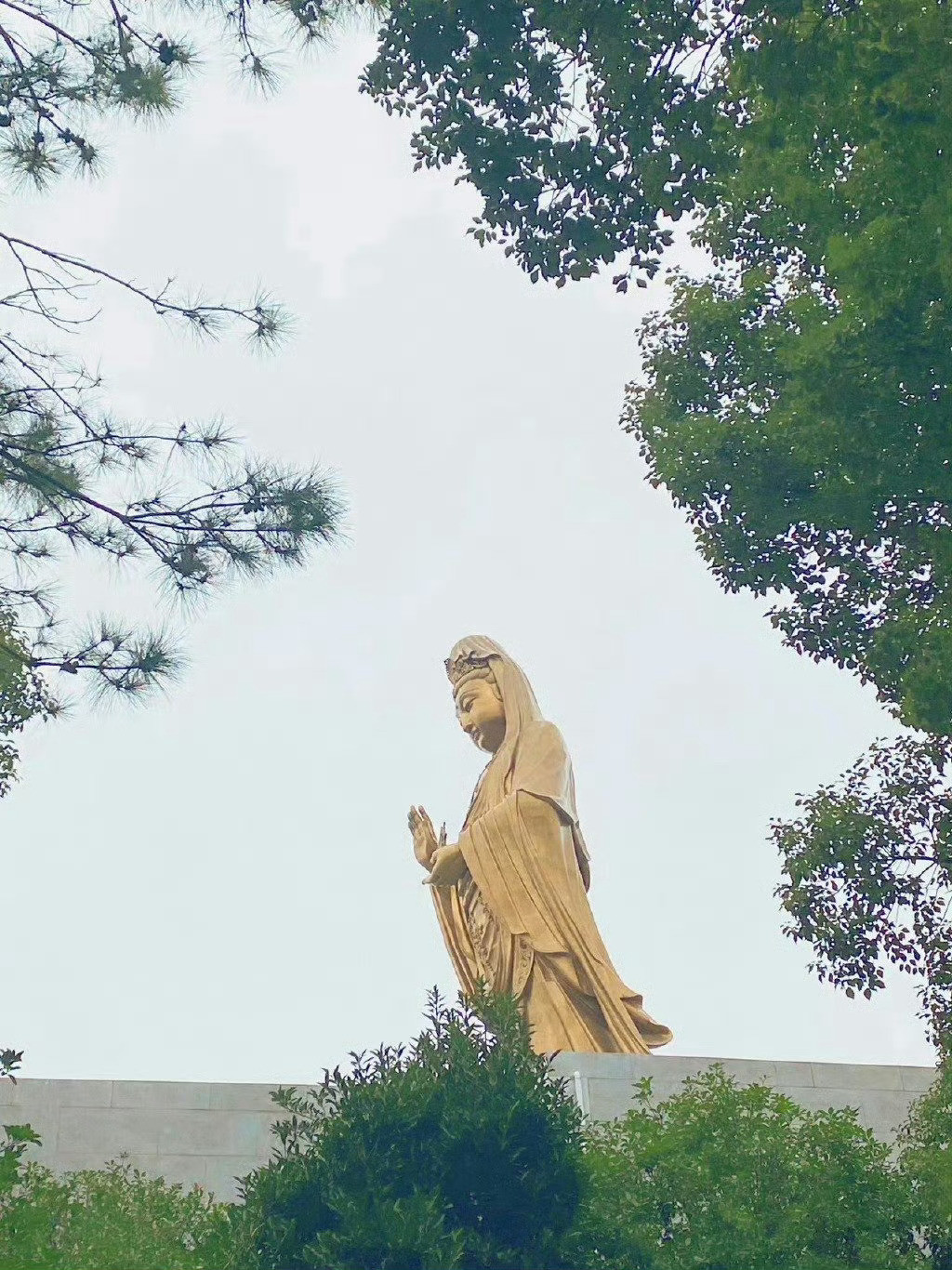 首页刷到观音菩萨，不要无视评论很灵的。​​​