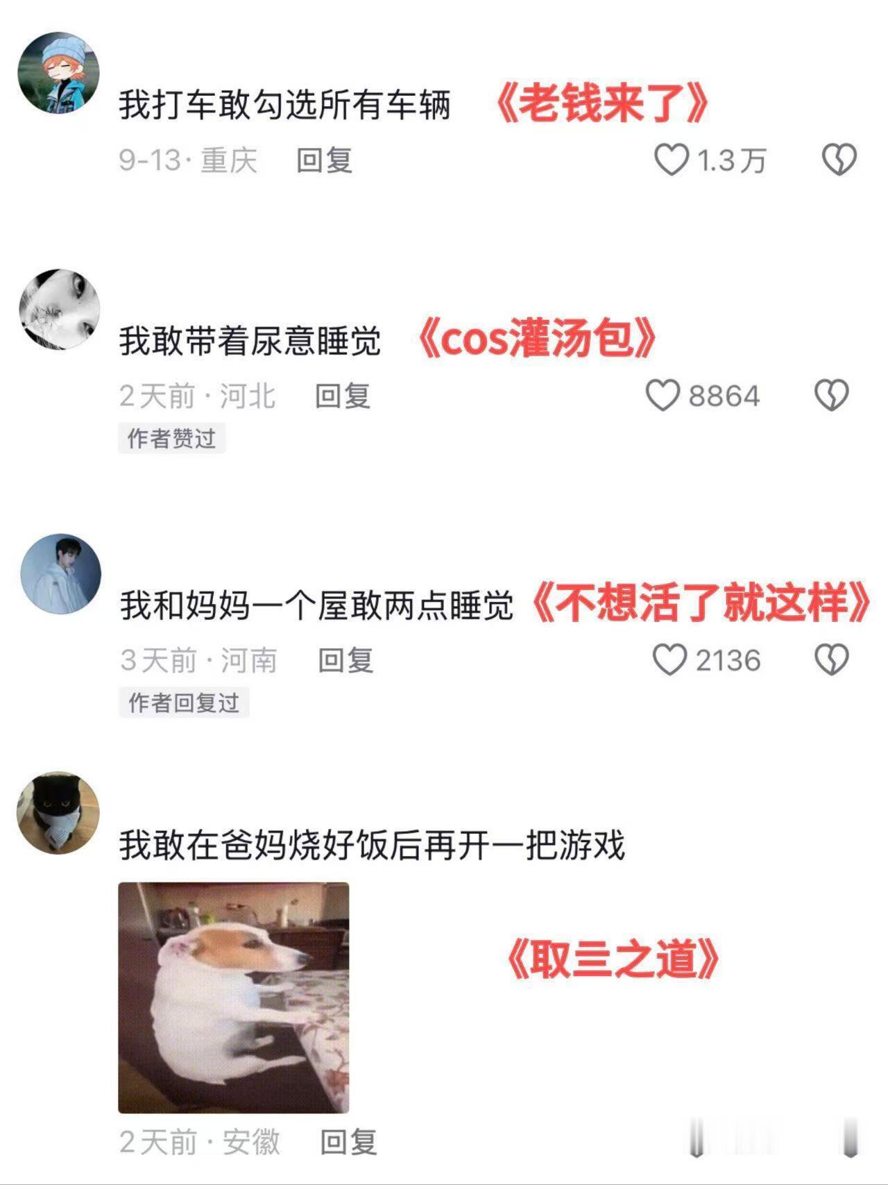 你做过最胆大的事是什么？[doge]​​​