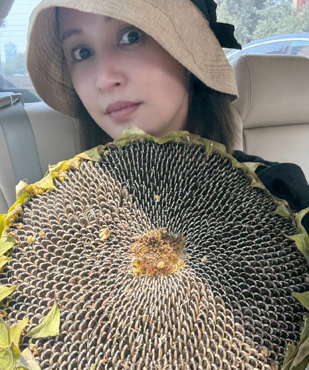 哈哈哈，袁弘也太实在了。张歆艺追剧想嗑瓜子，结果袁弘直接给她买了一个新鲜的葵花