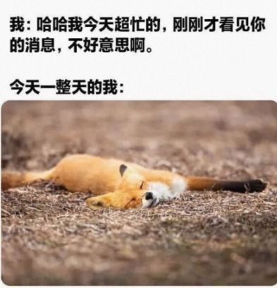 有自己的小心眼了