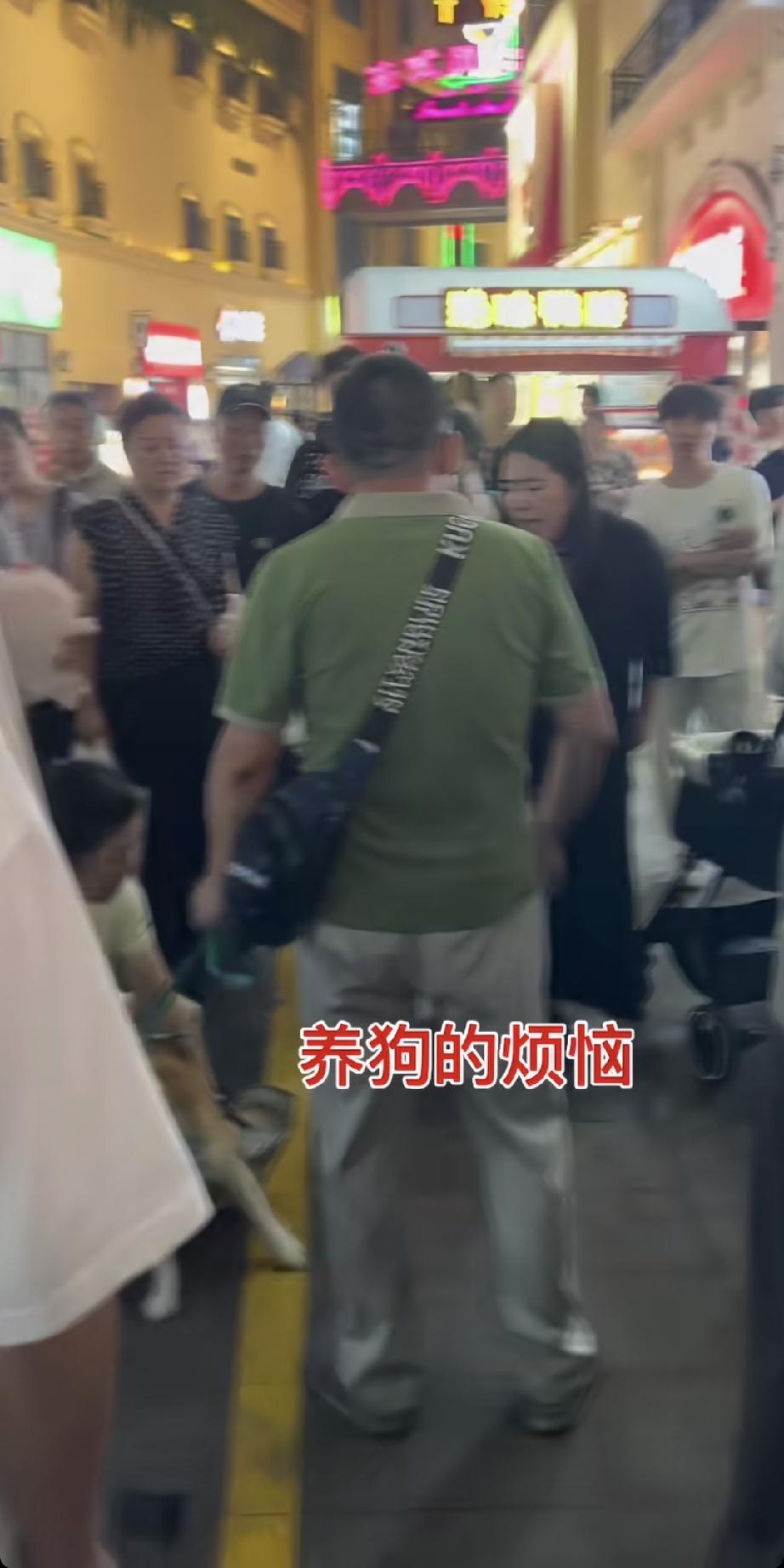南京的一条商业街上人来人往，而一男一女两个遛狗者，却全然不顾这里人流如织，怡然自