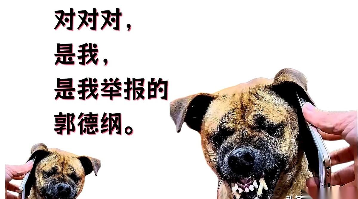 人大佬就客气一句，场面上夸了他两句。我滴乖乖，这哥们儿直接就不知道自己姓啥了，