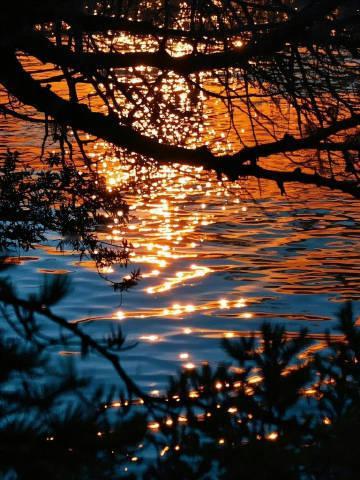 水边夕阳​​​