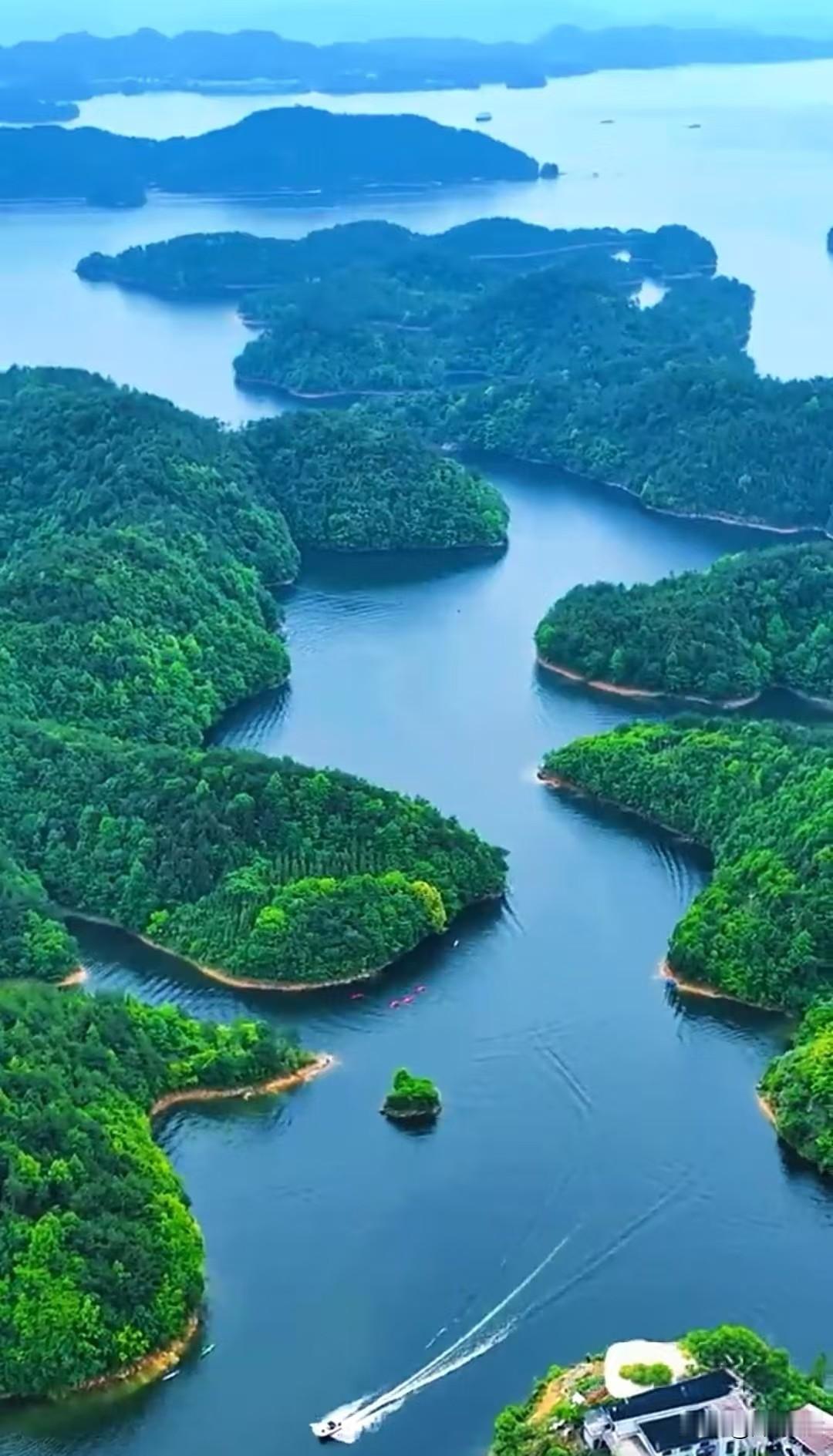 七律·见天地振策登峰望八荒，云涛卷处野苍茫。长河贯日流金碎，远岫衔风送黛