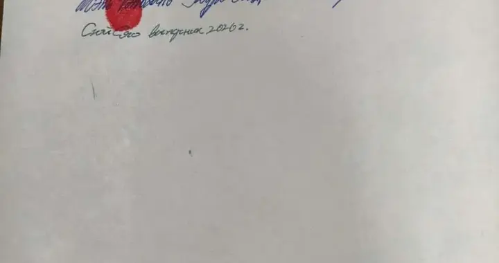 陈某某, 被遣返