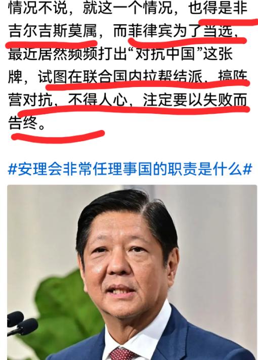 菲律宾争夺安理会非常任理事国席位以失败告终，有人说，联大投票结果是“142票对4