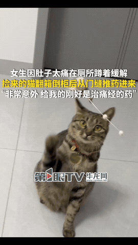 “太治愈！”云南昭通，一女子因姨妈期肚子疼，就在厕所里蹲着缓一缓，可就在她难受之